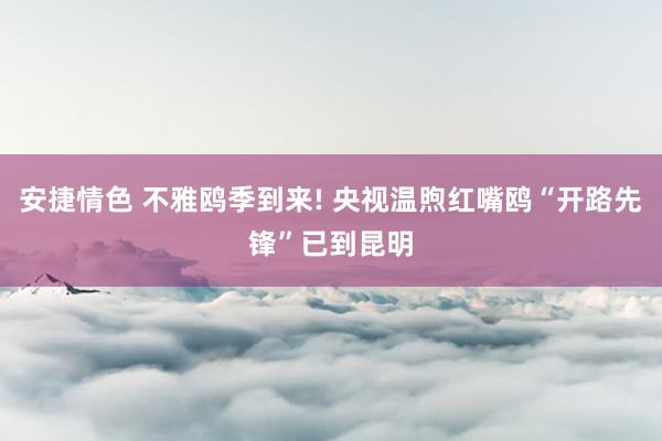 安捷情色 不雅鸥季到来! 央视温煦红嘴鸥“开路先锋”已到昆明