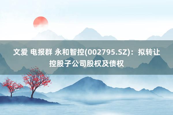 文爱 电报群 永和智控(002795.SZ)：拟转让控股子公司股权及债权