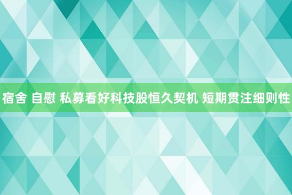 宿舍 自慰 私募看好科技股恒久契机 短期贯注细则性