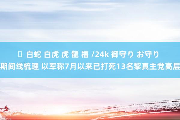 ✨白蛇 白虎 虎 龍 福 /24k 御守り お守り 期间线梳理 以军称7月以来已打死13名黎真主党高层