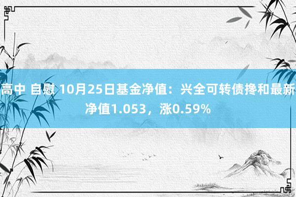 高中 自慰 10月25日基金净值：兴全可转债搀和最新净值1.053，涨0.59%