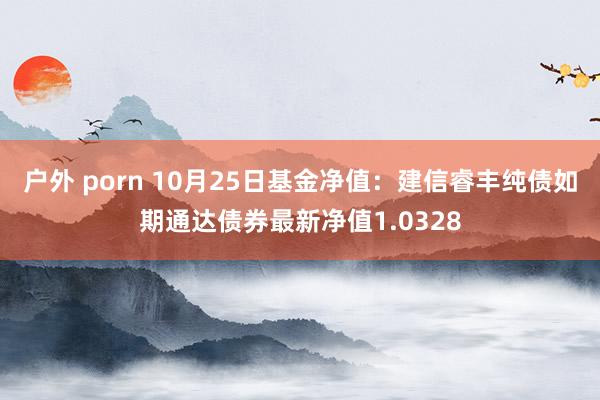 户外 porn 10月25日基金净值：建信睿丰纯债如期通达债券最新净值1.0328