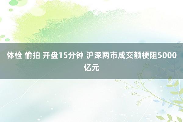 体检 偷拍 开盘15分钟 沪深两市成交额梗阻5000亿元