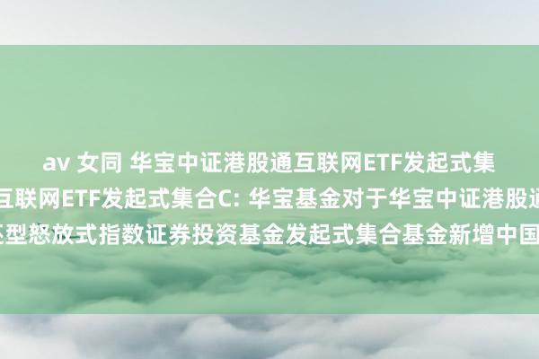 av 女同 华宝中证港股通互联网ETF发起式集合A，华宝中证港股通互联网ETF发起式集合C: 华宝基金对于华宝中证港股通互联网往还型怒放式指数证券投资基金发起式集合基金新增中国工商银行股份有限公司为代销机构的公告