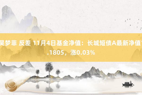 吴梦菲 反差 11月4日基金净值：长城短债A最新净值1.1805，涨0.03%