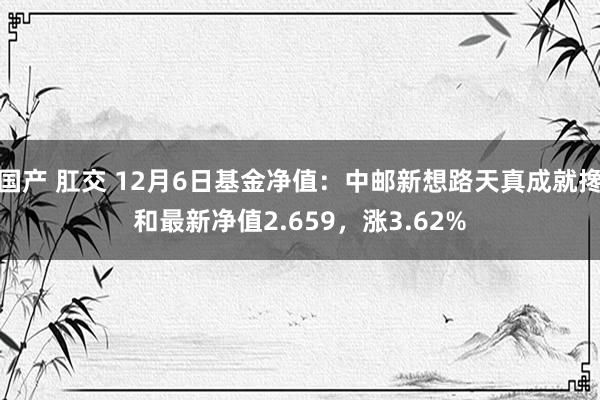 国产 肛交 12月6日基金净值：中邮新想路天真成就搀和最新净值2.659，涨3.62%