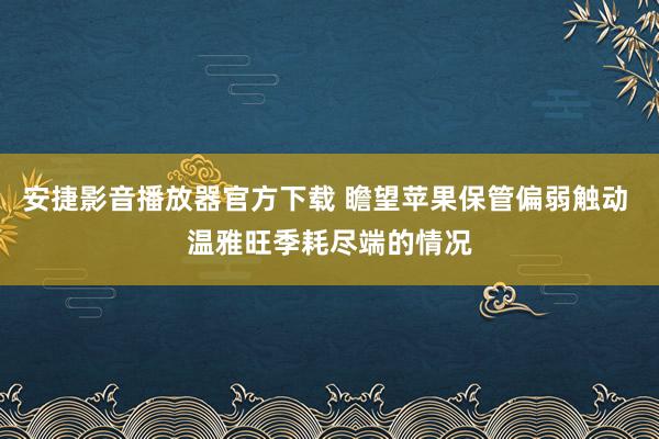 安捷影音播放器官方下载 瞻望苹果保管偏弱触动 温雅旺季耗尽端的情况