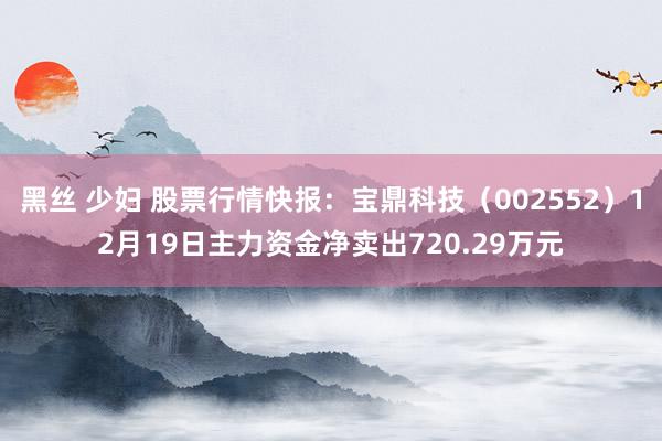 黑丝 少妇 股票行情快报：宝鼎科技（002552）12月19日主力资金净卖出720.29万元