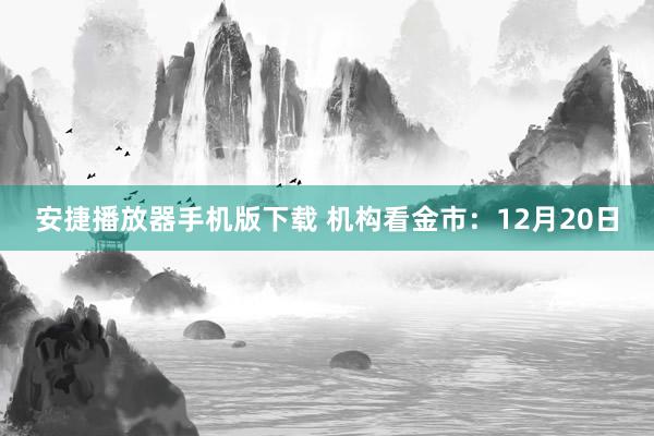 安捷播放器手机版下载 机构看金市：12月20日