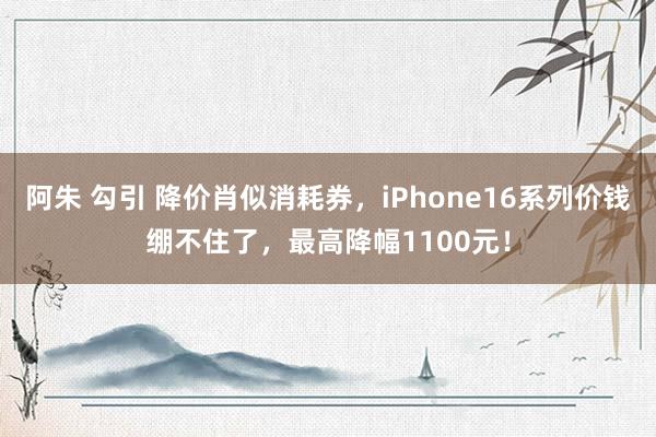 阿朱 勾引 降价肖似消耗券，iPhone16系列价钱绷不住了，最高降幅1100元！