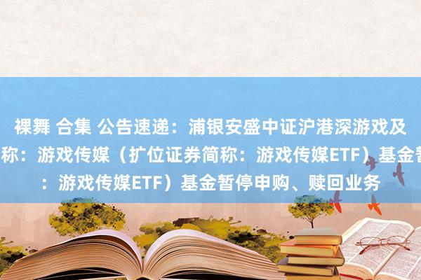 裸舞 合集 公告速递：浦银安盛中证沪港深游戏及文化传媒ETF场内简称：游戏传媒（扩位证券简称：游戏传媒ETF）基金暂停申购、赎回业务