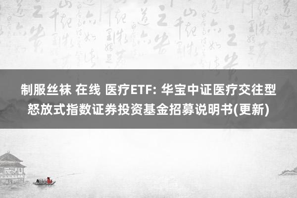 制服丝袜 在线 医疗ETF: 华宝中证医疗交往型怒放式指数证券投资基金招募说明书(更新)