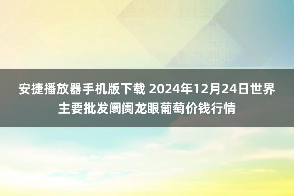 安捷播放器手机版下载 2024年12月24日世界主要批发阛阓