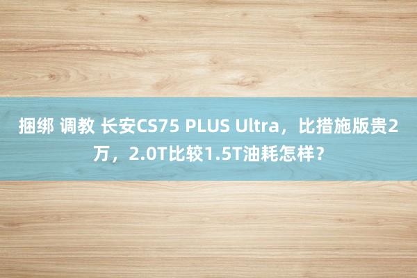 捆绑 调教 长安CS75 PLUS Ultra，比措施版贵2