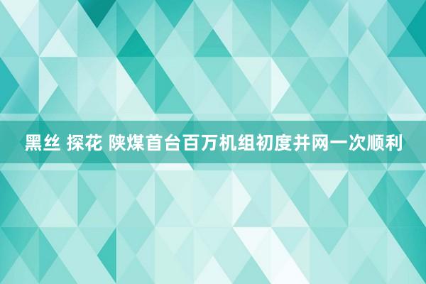 黑丝 探花 陕煤首台百万机组初度并网一次顺利