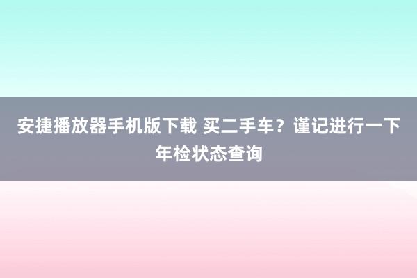 安捷播放器手机版下载 买二手车？谨记进行一下年检状态查询