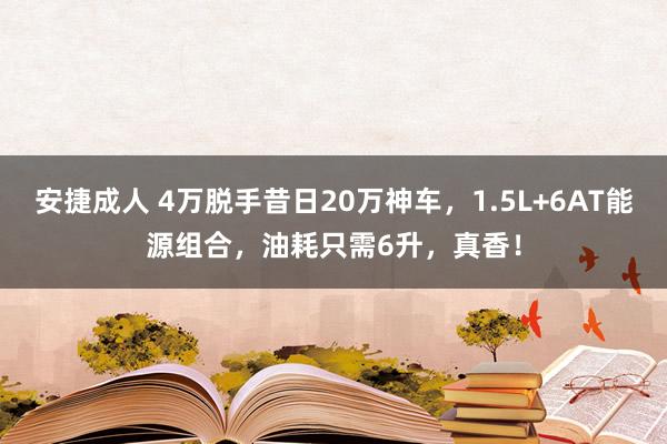 安捷成人 4万脱手昔日20万神车，1.5L+6AT能源组合，油耗只需6升，真香！