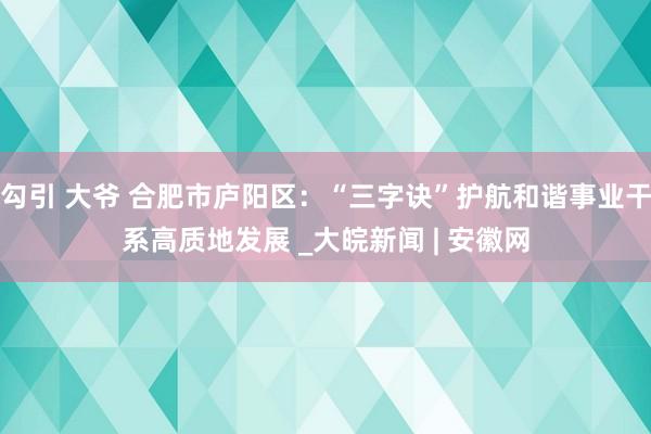 勾引 大爷 合肥市庐阳区：“三字诀”护航和谐事业干系高质地发展 _大皖新闻 | 安徽网