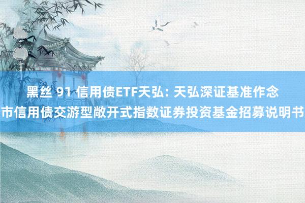 黑丝 91 信用债ETF天弘: 天弘深证基准作念市信用债交游