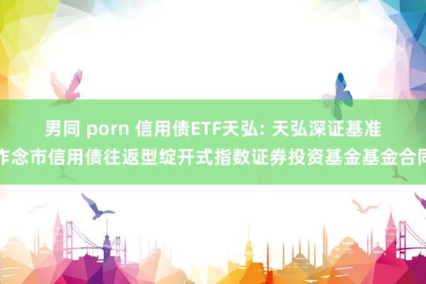 男同 porn 信用债ETF天弘: 天弘深证基准作念市信用债