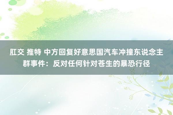 肛交 推特 中方回复好意思国汽车冲撞东说念主群事件：反对任何