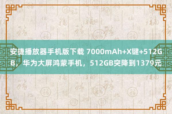 安捷播放器手机版下载 7000mAh+X键+512GB，华为