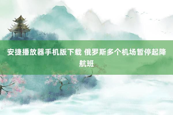 安捷播放器手机版下载 俄罗斯多个机场暂停起降航班