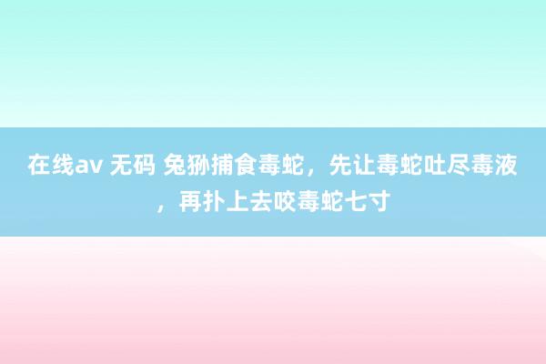 在线av 无码 兔狲捕食毒蛇，先让毒蛇吐尽毒液，再扑上去咬毒