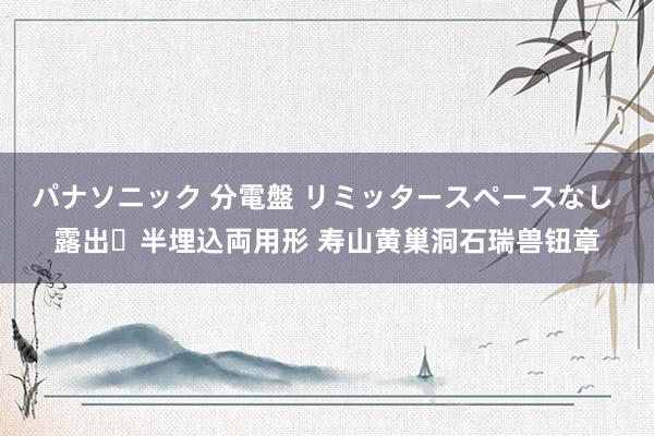 パナソニック 分電盤 リミッタースペースなし 露出・半埋込両