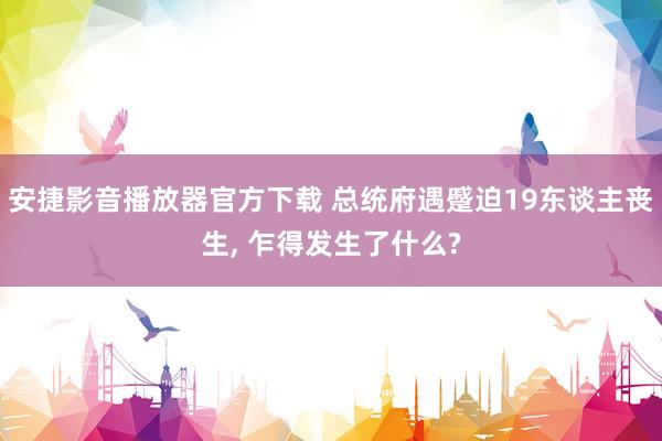 安捷影音播放器官方下载 总统府遇蹙迫19东谈主丧生, 乍得发