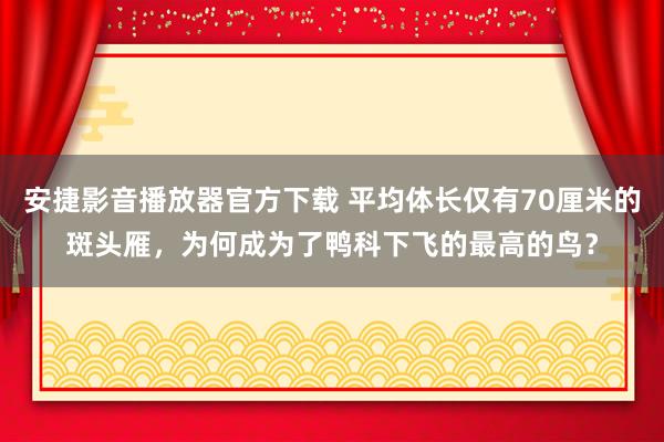 安捷影音播放器官方下载 平均体长仅有70厘米的斑头雁，为何成