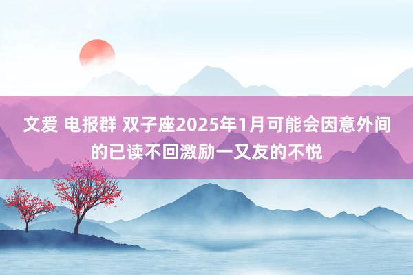 文爱 电报群 双子座2025年1月可能会因意外间的已读不回激