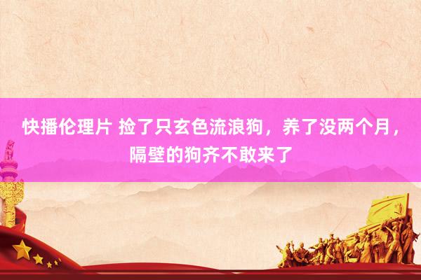 快播伦理片 捡了只玄色流浪狗，养了没两个月，隔壁的狗齐不敢来了