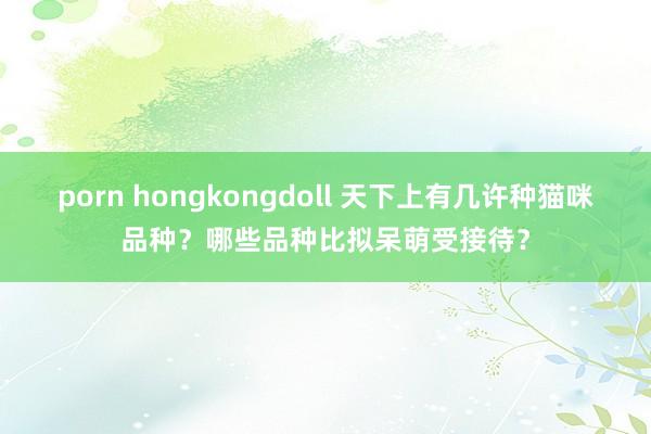 porn hongkongdoll 天下上有几许种猫咪品种？哪些品种比拟呆萌受接待？