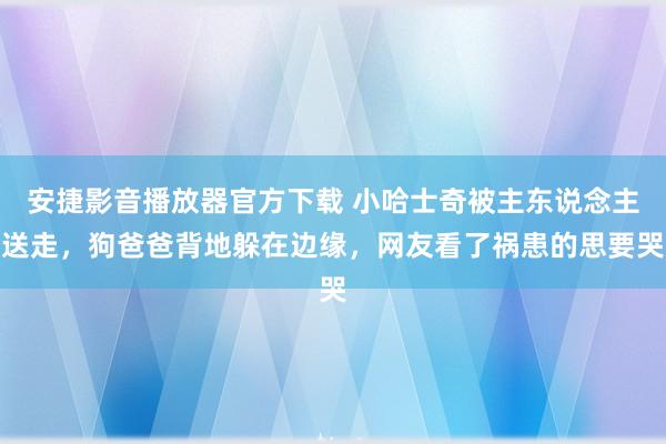 安捷影音播放器官方下载 小哈士奇被主东说念主送走，狗爸爸背地躲在边缘，网友看了祸患的思要哭